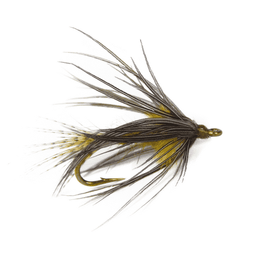 I Started Using Wet Flies and it Changed How I Fly Fish | Fly Fishing Insider Podcast