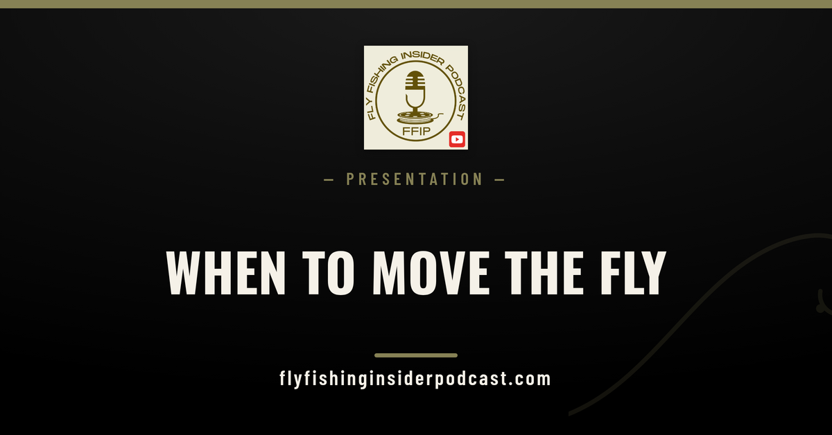 Fly Fishing Insider Podcast cover: when to move the fly, induced takes vs the perfect dead drift