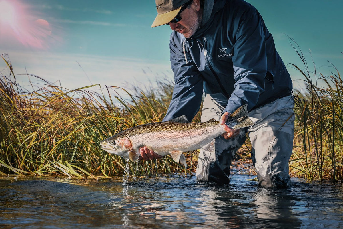 Angler in waders releasing a large rainbow trout beside tall grass on an Alaska river