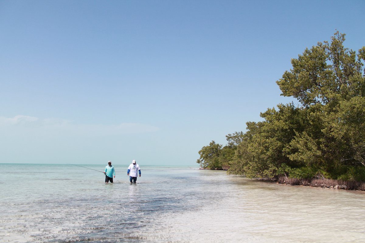 Two anglers wading a bonefish flat along a mangrove edge in Belize