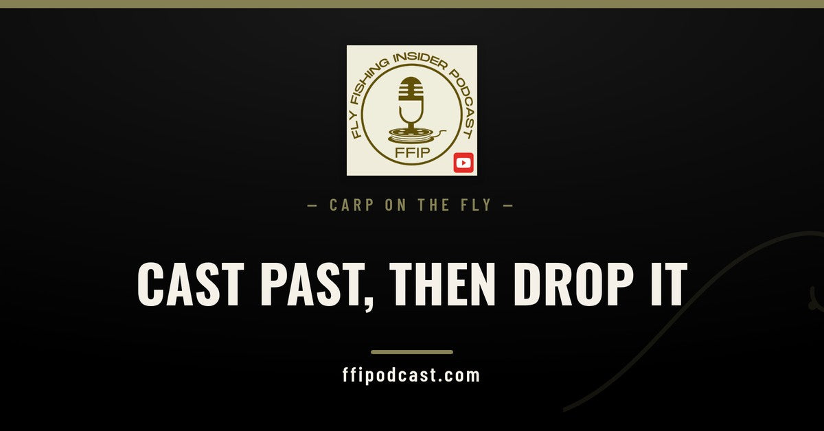 FFIP cover graphic reading "Cast Past, Then Drop It" for drag and drop carp fly fishing