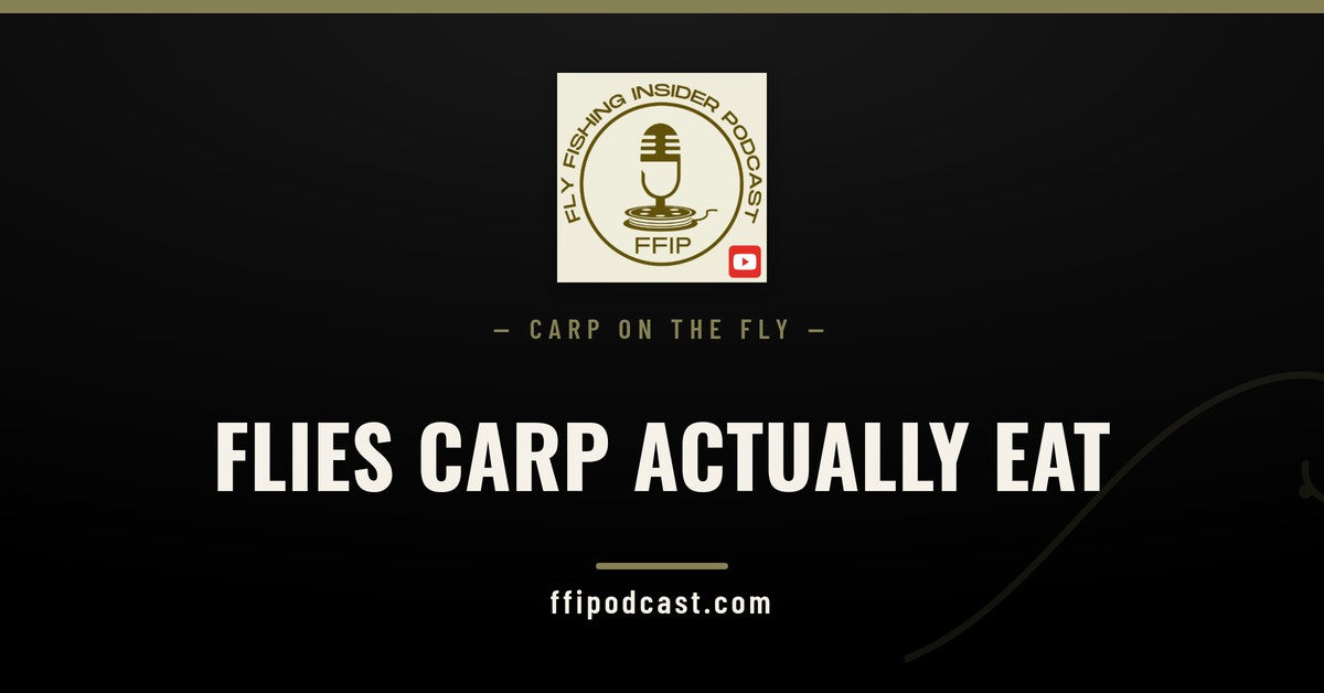 FFIP cover graphic reading "Flies Carp Actually Eat" for best carp flies