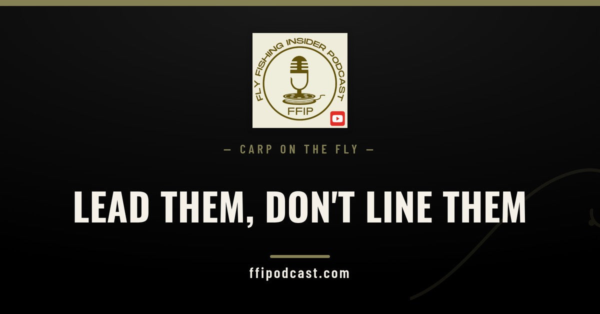 FFIP cover graphic reading "Lead Them, Don't Line Them" for how to cast to carp