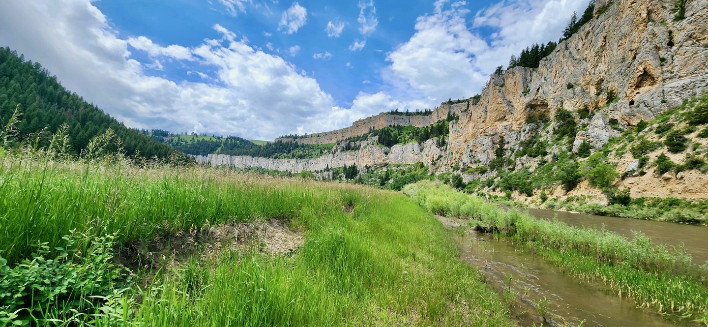 Montana freestone river winding through a green valley below limestone cliffs