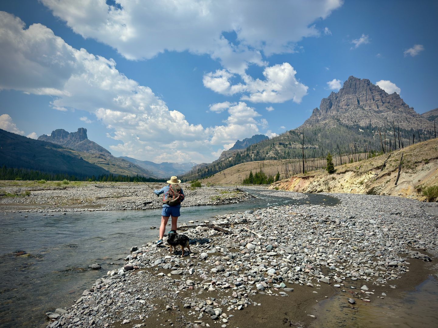 Angler wading a gravel-bar freestone river below Rocky Mountain peaks