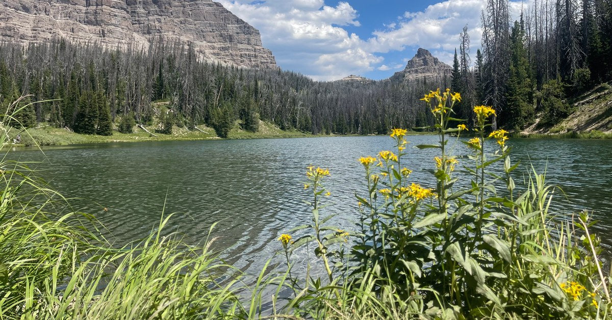 Alpine lake with a clear shallow shelf dropping into deeper green water — stillwater fly fishing depth guide, Fly Fishing Insider Podcast