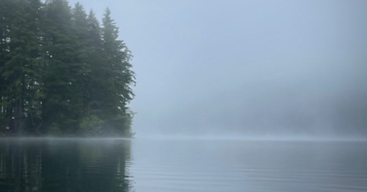 Flat calm lake under morning fog with a dark conifer shoreline — stillwater fly fishing presentation guide, Fly Fishing Insider Podcast