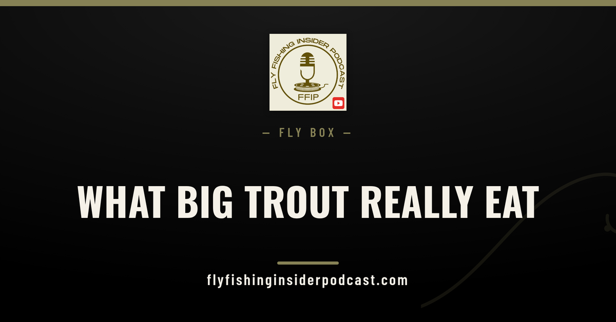 Fly Fishing Insider Podcast cover reading What Big Trout Really Eat, a fly selection guide for trophy trout