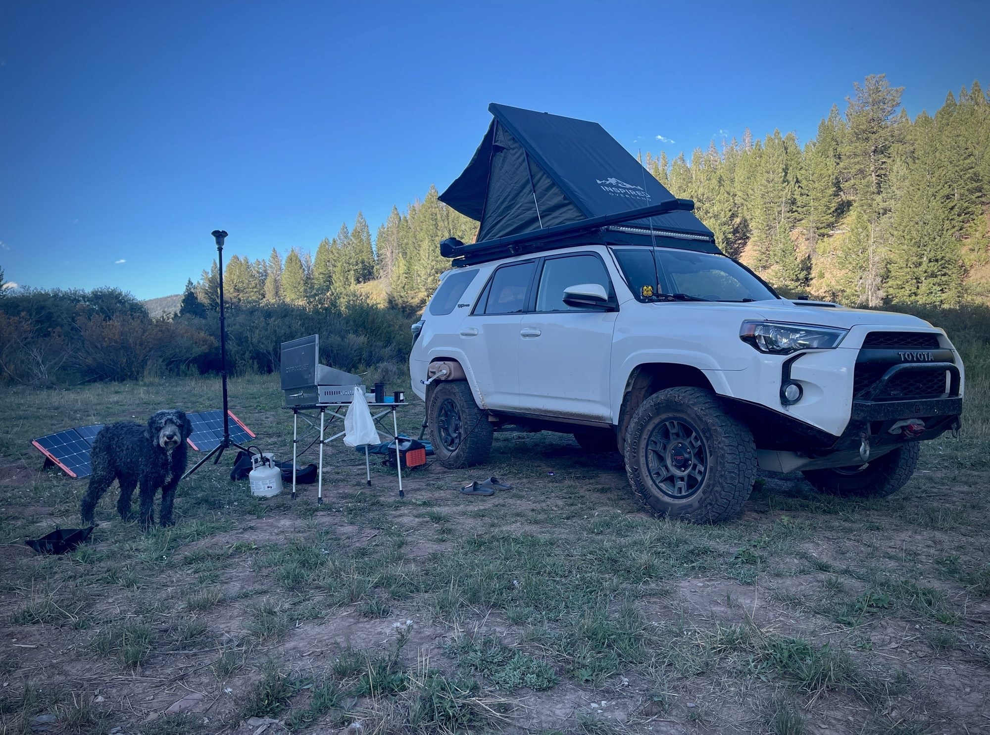 Devos Outdoor LightRanger telescoping camp light on a pole beside a 4Runner with roof tent, camp table and a dog