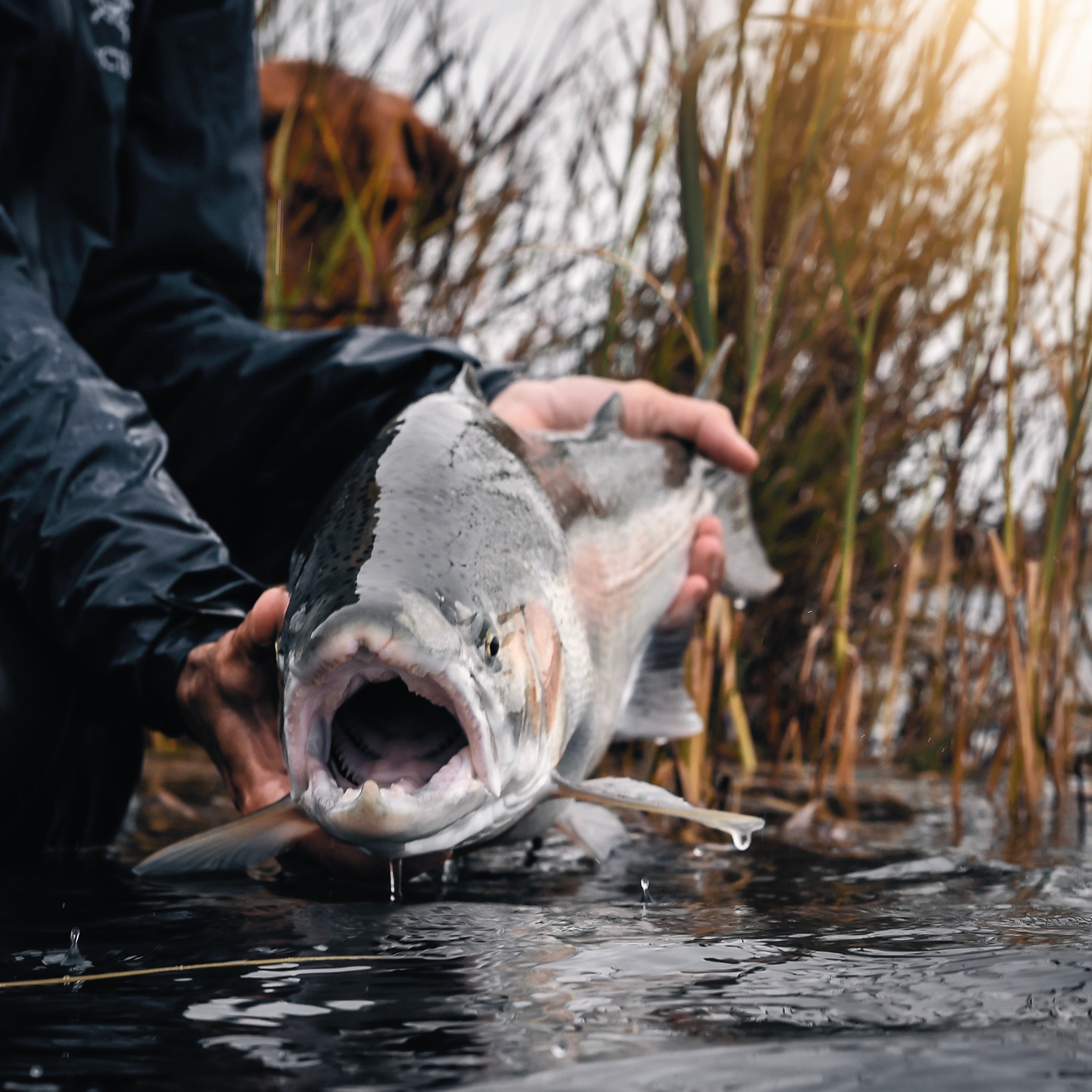 Fly Fishing for Advanced Anglers | Fly Fishing Insider Podcast