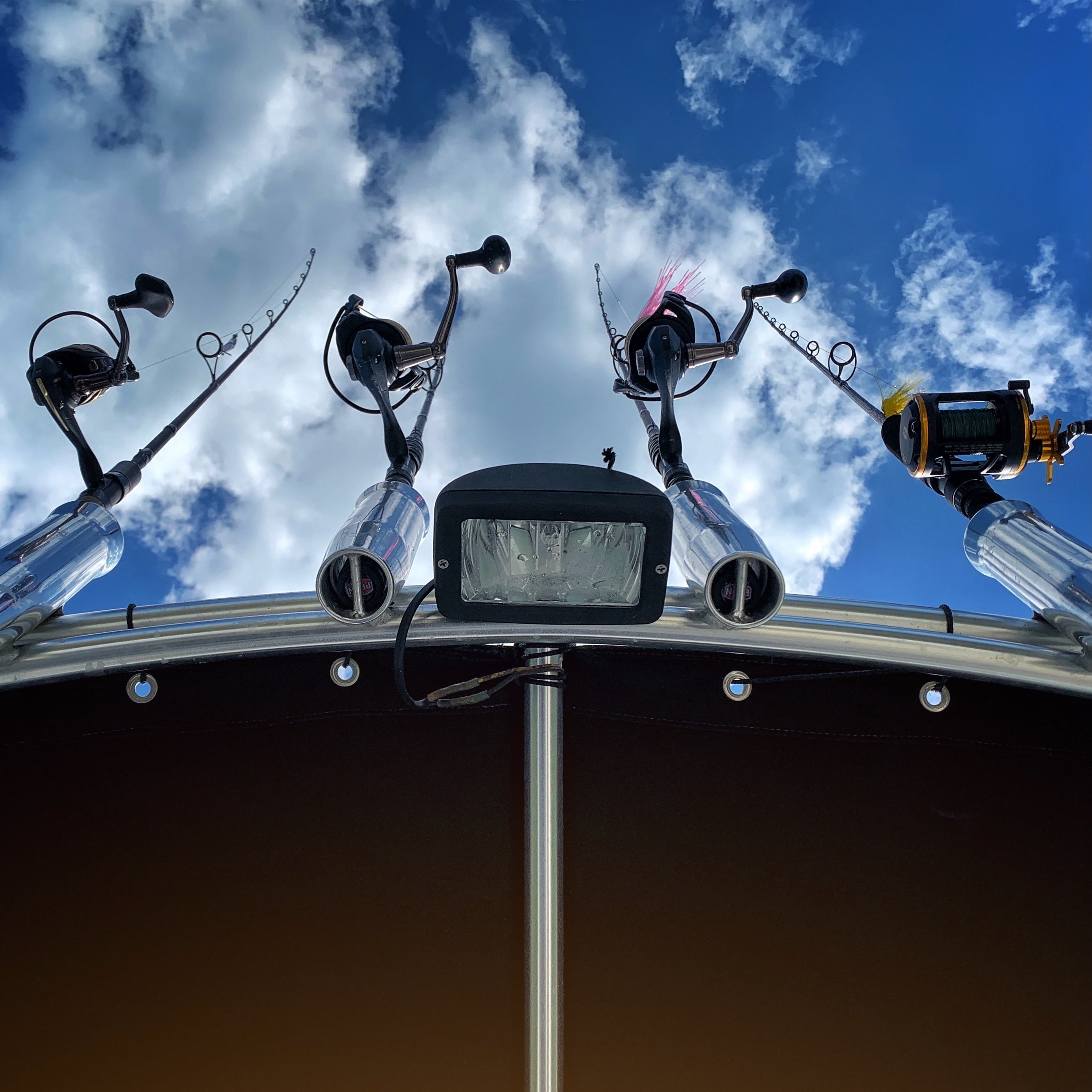 Bait and Gear Fishing