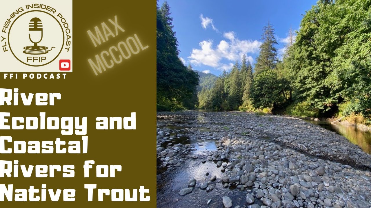 River Ecology and Coastal Rivers for Native Trout - Fly Fishing Insider Podcast episode thumbnail