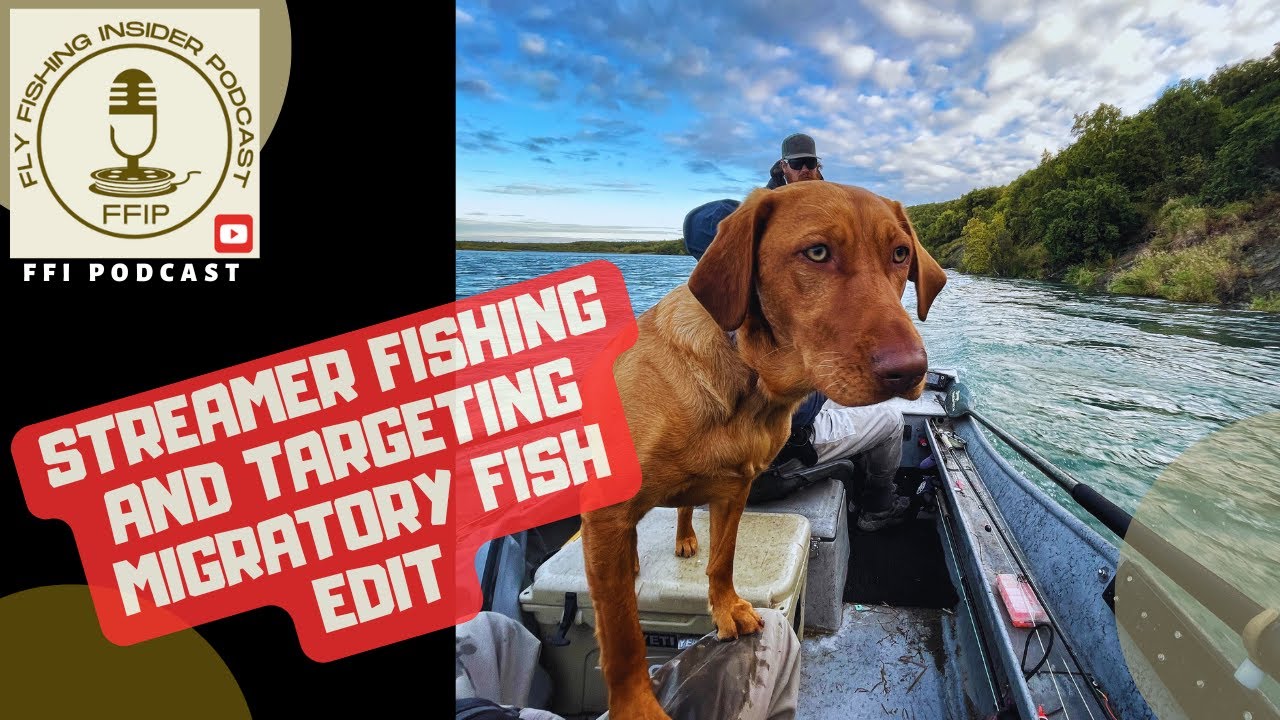 How to Streamer Fish for Migratory Fish - Fly Fishing Insider Podcast episode thumbnail