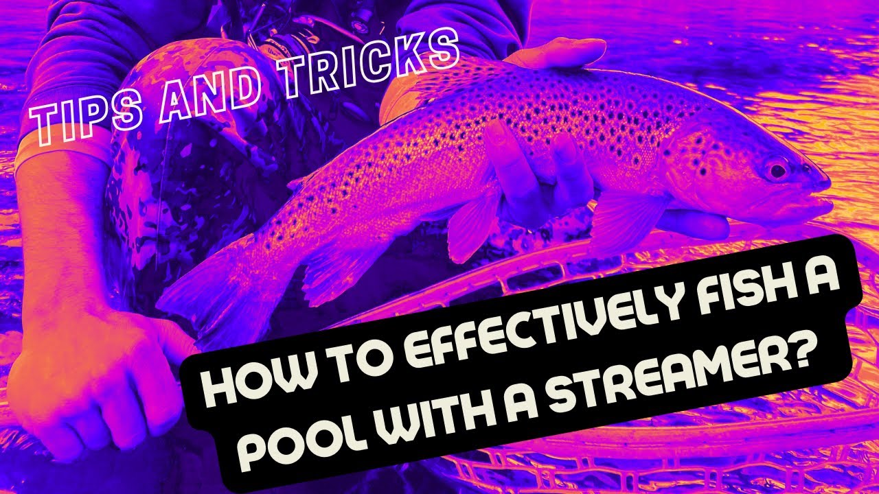 How to effectively fish a pool with a streamer