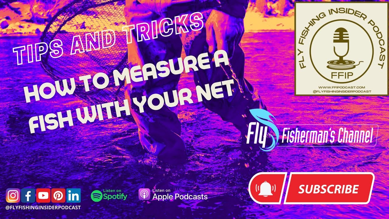 How to Measure a Fish with Your Net - Tips and Tricks - Fly Fishing Insider Podcast - Fly Fishing Insider Podcast episode thumbnail