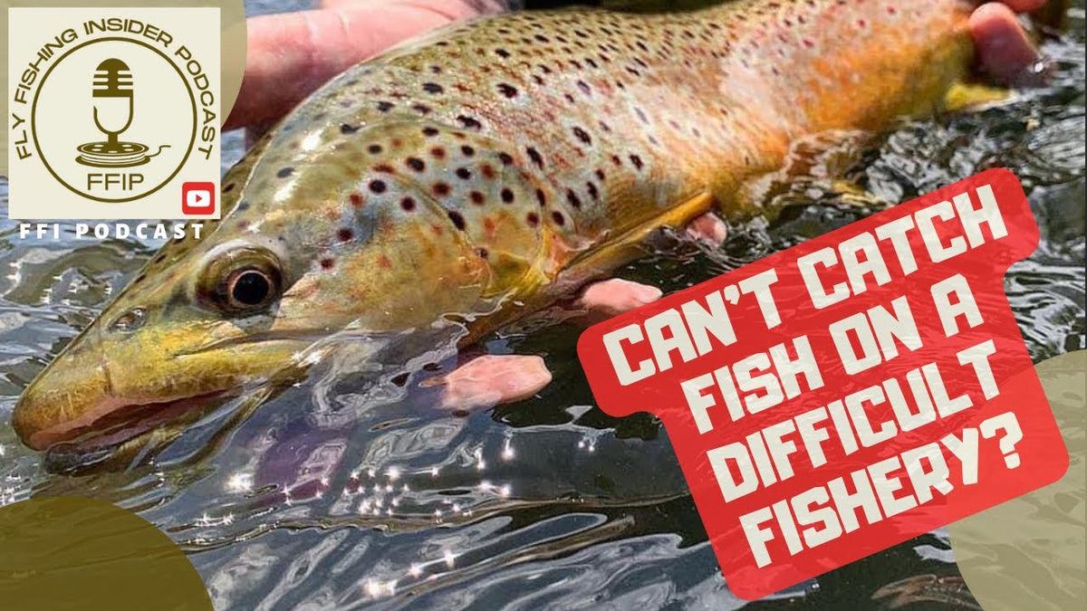 Catching Fish on a Difficult Fishery and a Dry Dropper Tip - Fly Fishing Insider Podcast episode thumbnail