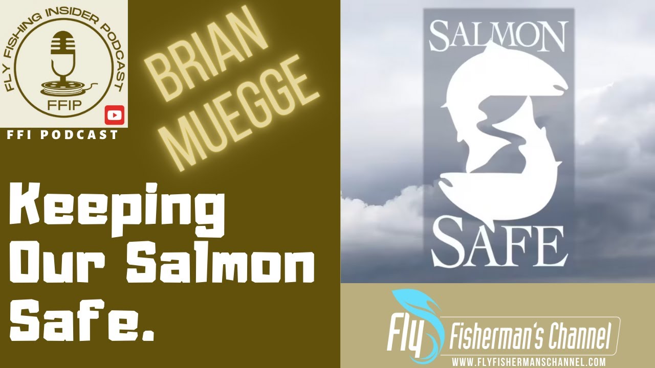 Keep Our Salmon Safe - Fly Fishing Insider Podcast episode thumbnail