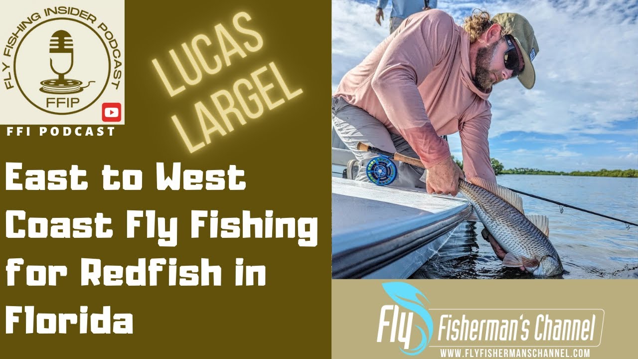 Redfish tailing in shallow Florida flats water