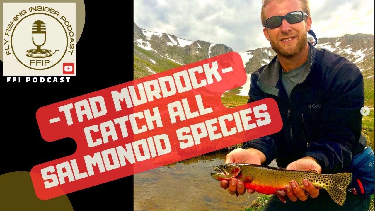 The Mission to Catch All Salmonoid Species - Fly Fishing Insider Podcast episode thumbnail