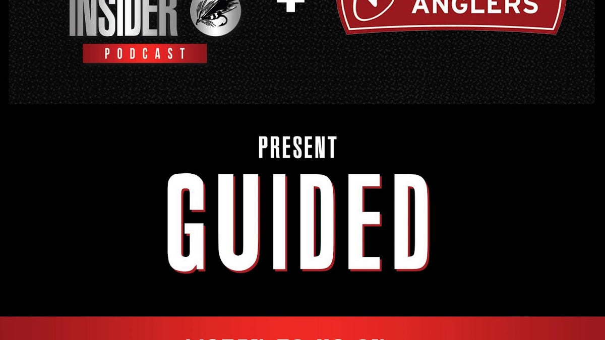 Guided podcast episode with Yellowstone guide Alice Owsley
