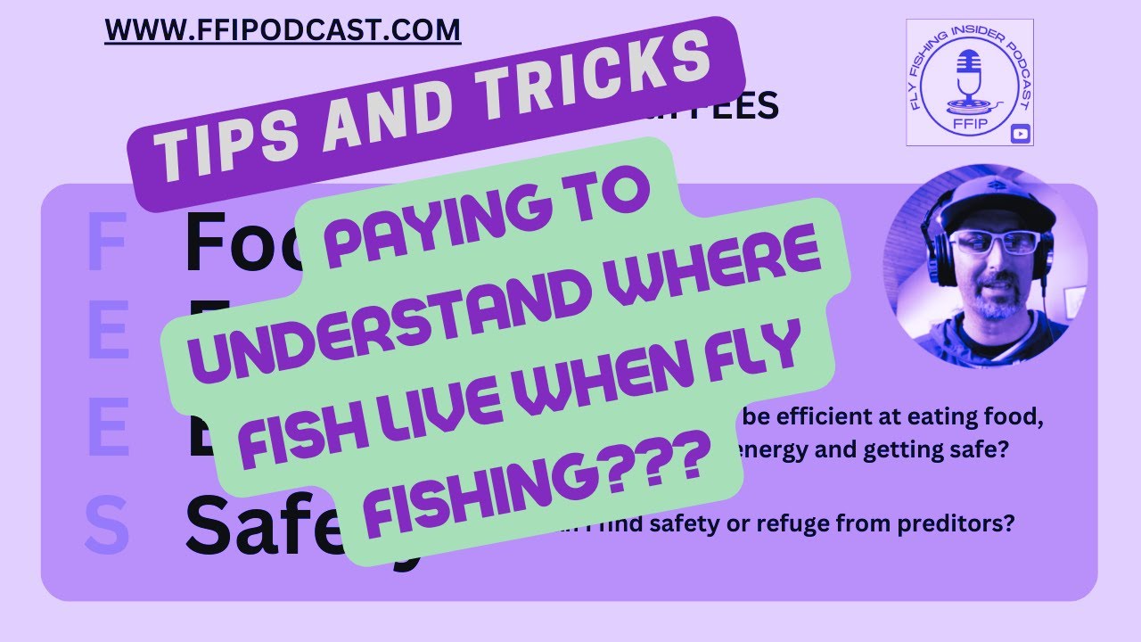 Be Like a Cat And Catch More Fish When Fly Fishing - Fly Fishing Insider Podcast episode thumbnail
