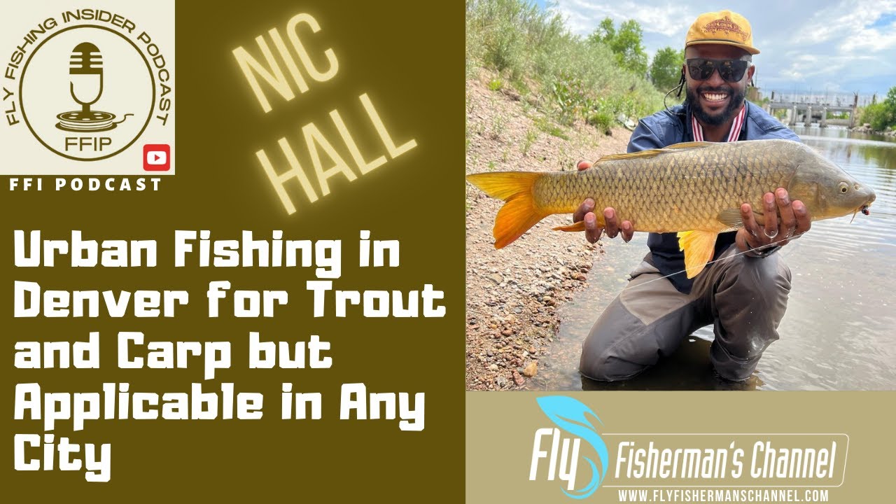 Urban Fishing in Denver for Trout and Carp but Applicable in Any City - Fly Fishing Insider Podcast episode thumbnail
