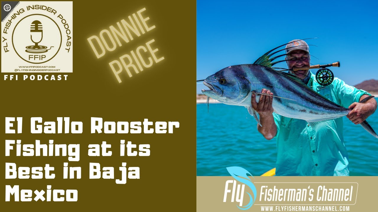 El Gallo Rooster Fishing at its Best in Baja Mexico - Fly Fishing Insider Podcast episode thumbnail