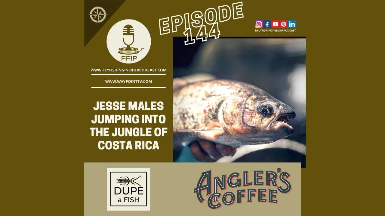 Fly Fishing the Jungle of Costa Rica - Fly Fishing Insider Podcast episode thumbnail