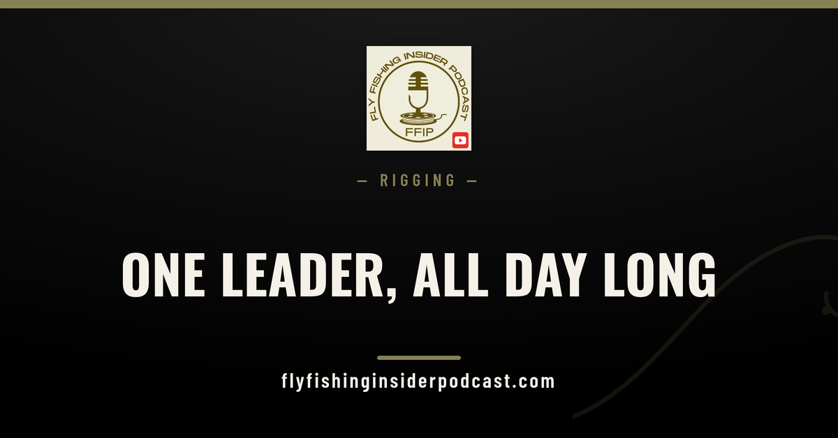 Fly Fishing Insider Podcast cover: mono rig leader formula, one leader you can fish all day