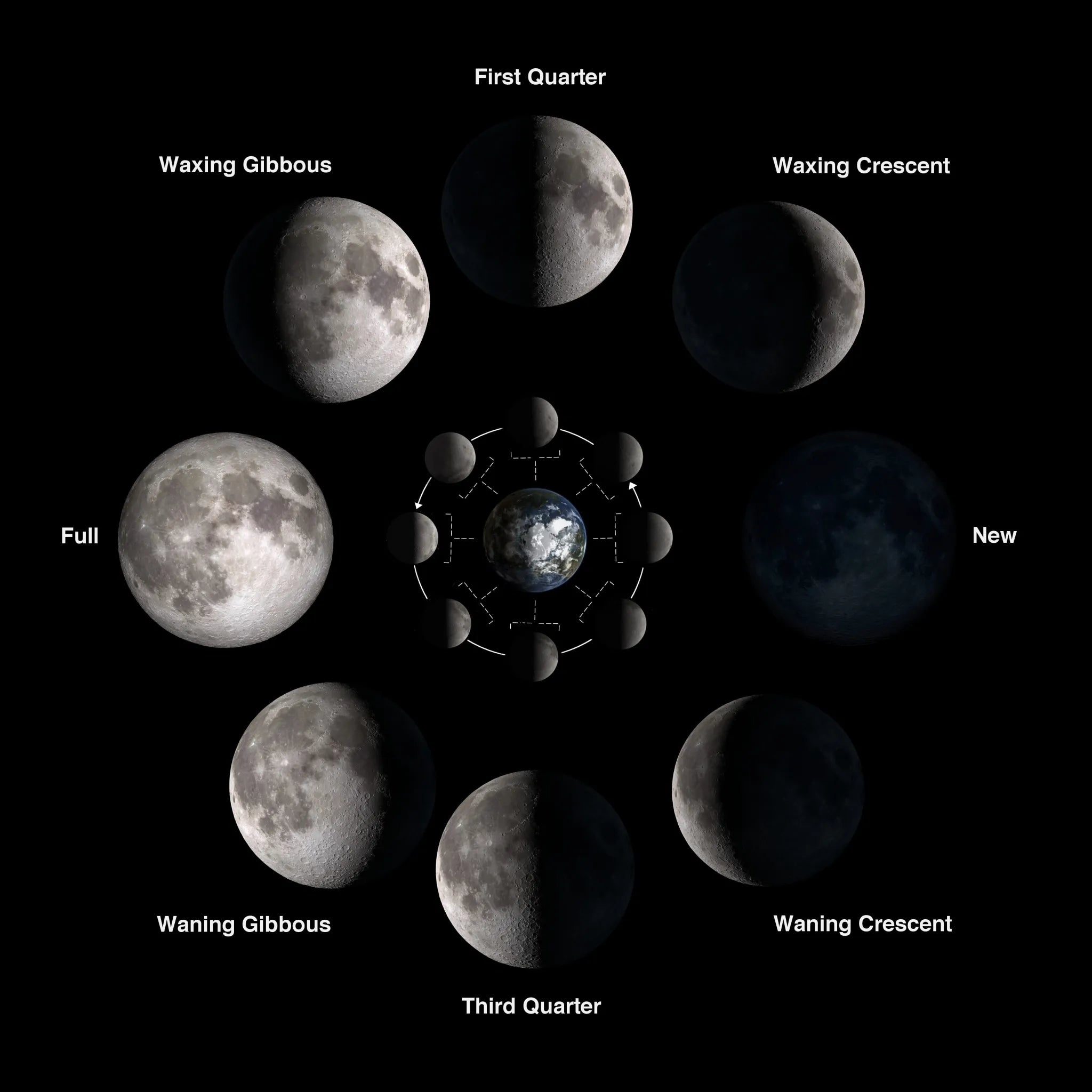 Moon Phases 