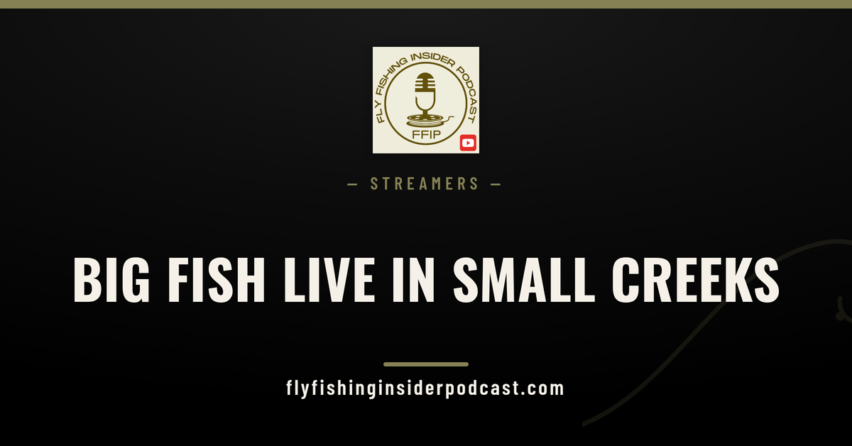 Fly Fishing Insider Podcast cover: small creek streamer tactics for big trout in skinny water