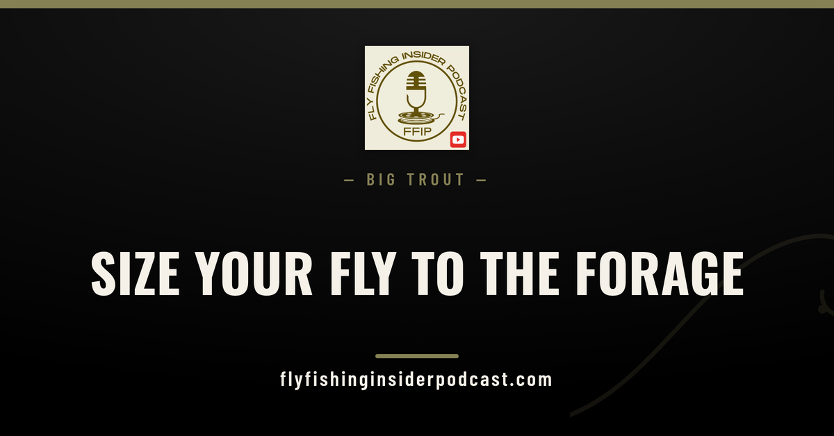 Fly Fishing Insider Podcast cover: sizing big streamers to the forage for big brown trout