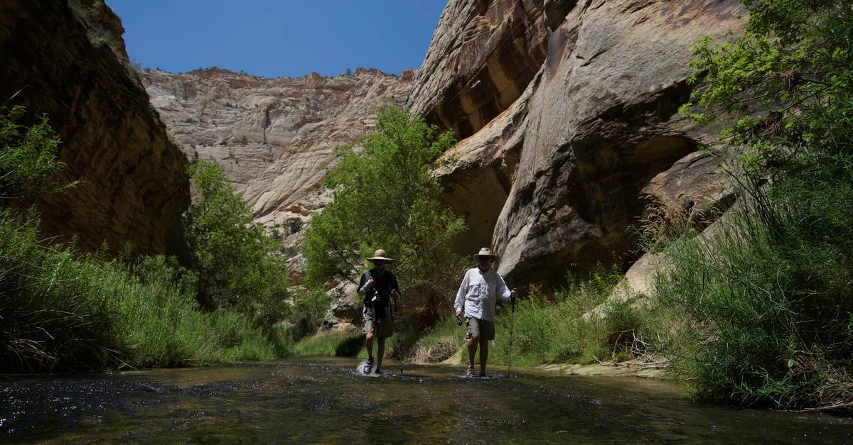 Two anglers wading a shallow stream through a red-rock canyon