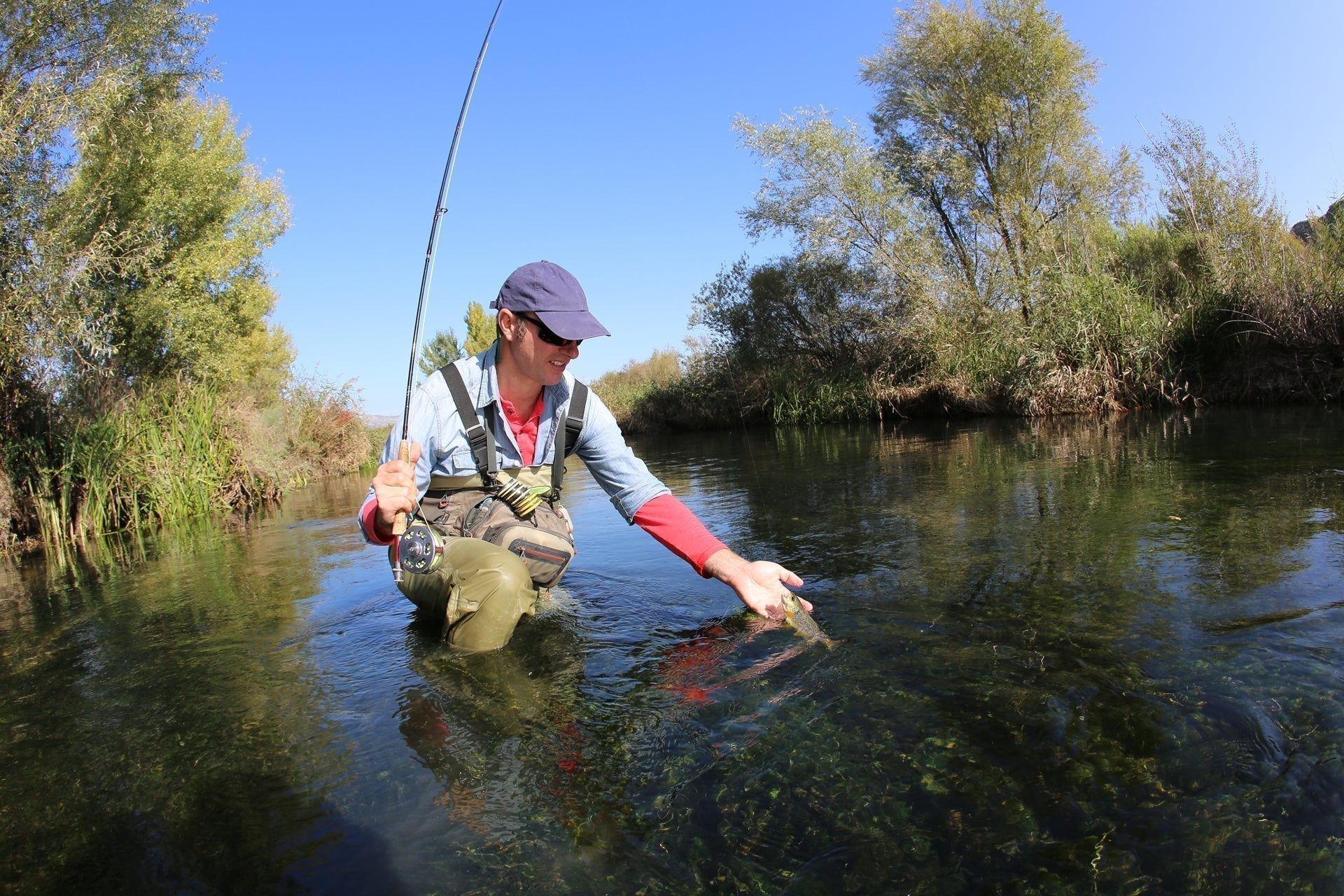 Certified Guides & Lodges
