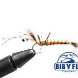 Crayfish