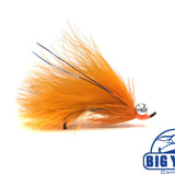 Coho Comet