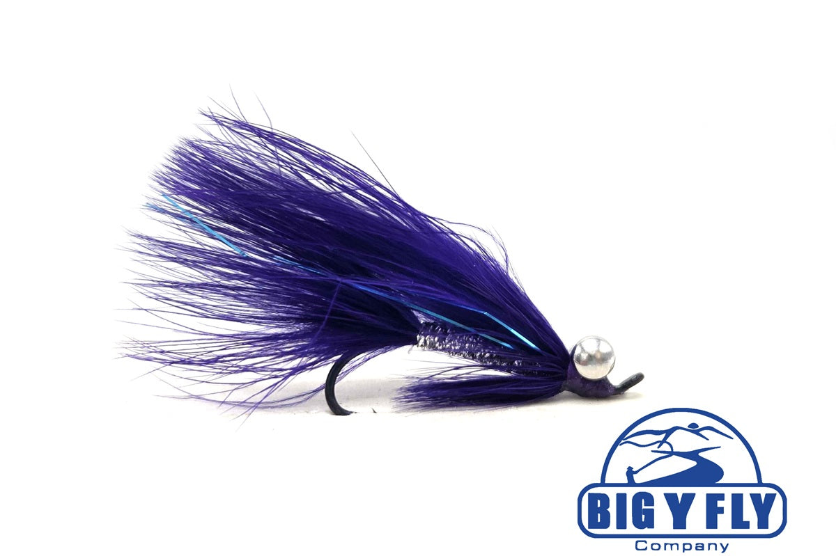 Coho Comet