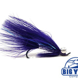 Coho Comet