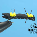 Chernobyl Ant