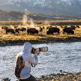 Bison Sun Protective Wildlife Graphic Hoodie