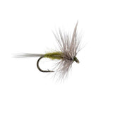 Blue winged Olive