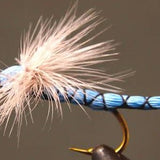 Parachute Damselfly