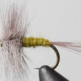 Blue Wing Olive