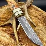 Custom Handmade Damascus Hunting Camping Knife with Bone, Olive Wood, and Brass Bolster Handle