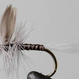 Blue Quill