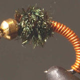 BH Brassy