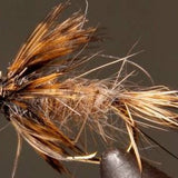 BH Red Fox Squirrel