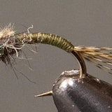 BH Olive WD-40