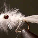 Mysis Shrimp