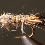 Gold Rib Hare’s Ear